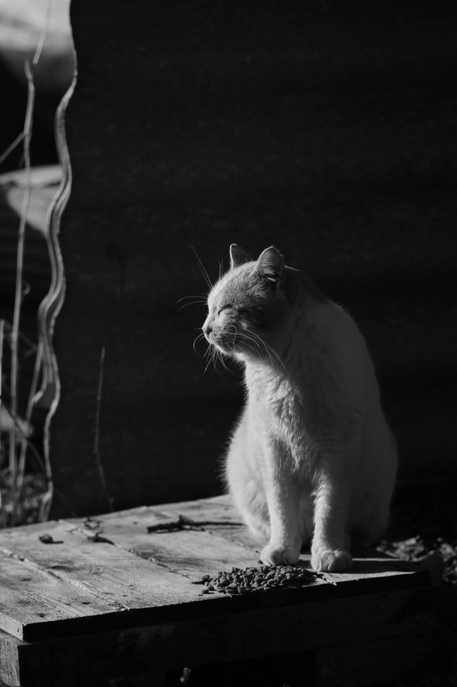 Photograph by Anna D.