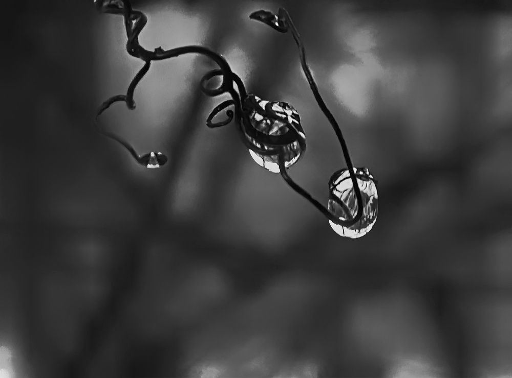 Photograph by Catherine