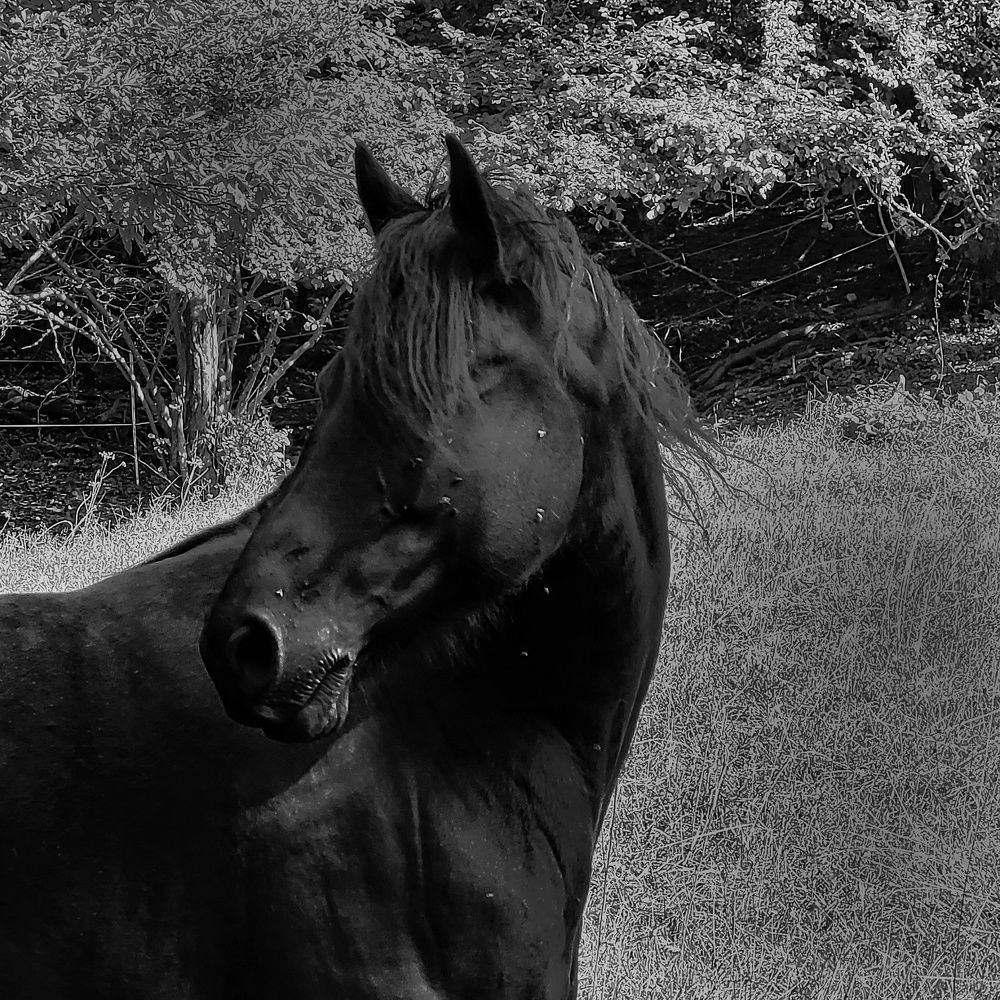 Photograph by Catherine