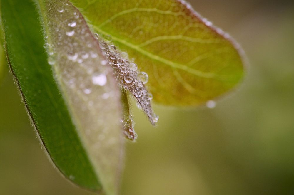 Photograph by Николай Захаров