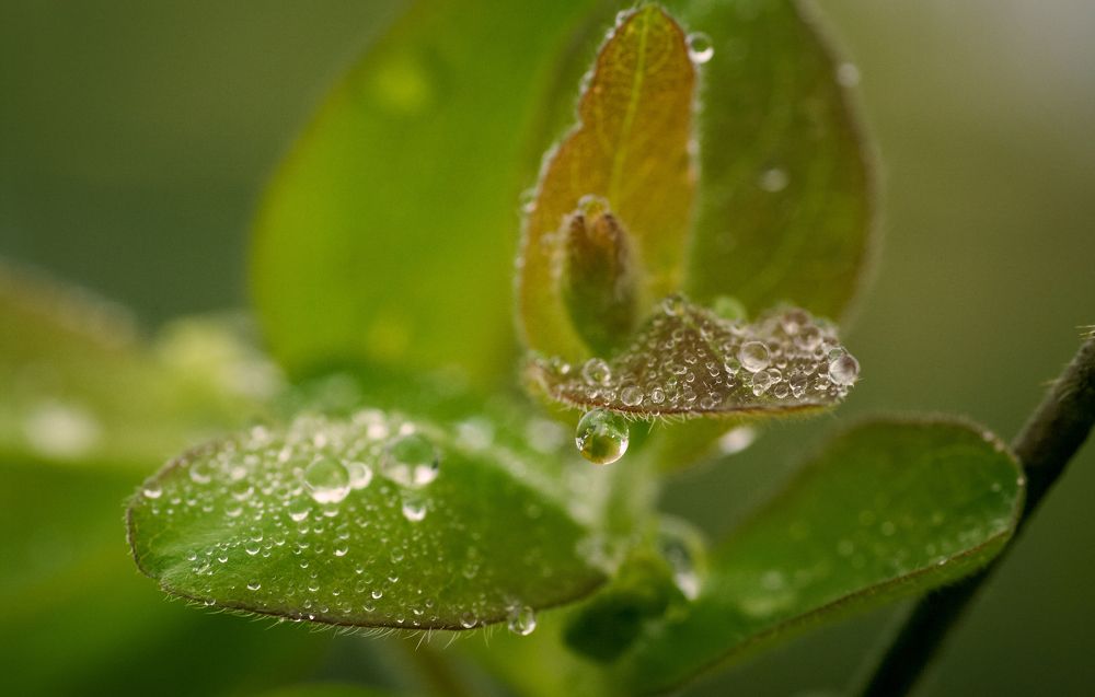 Photograph by Николай Захаров