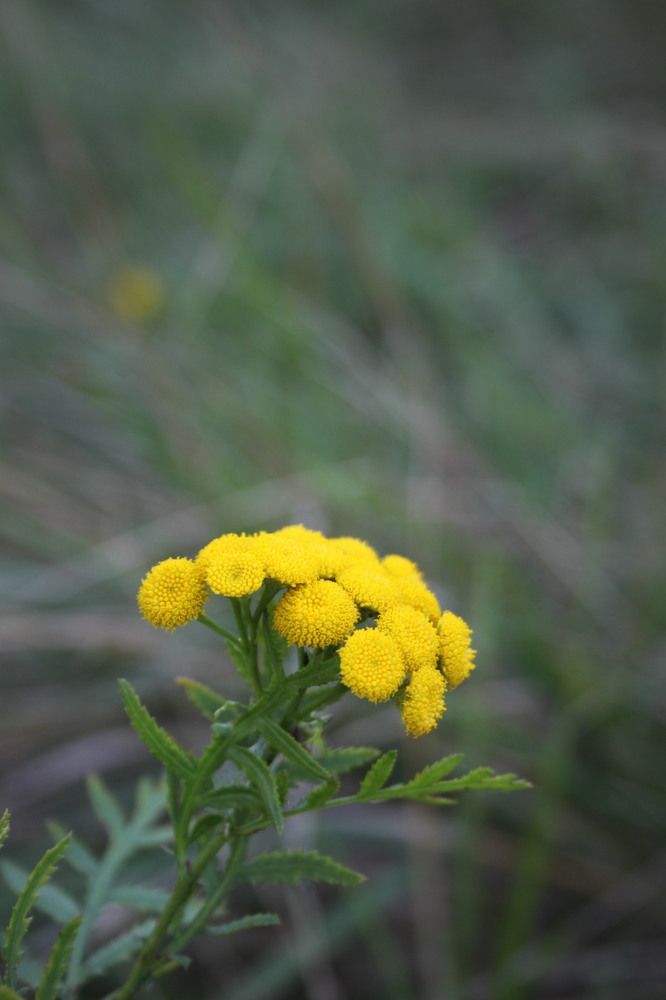 Photograph by Кристина Разаманова