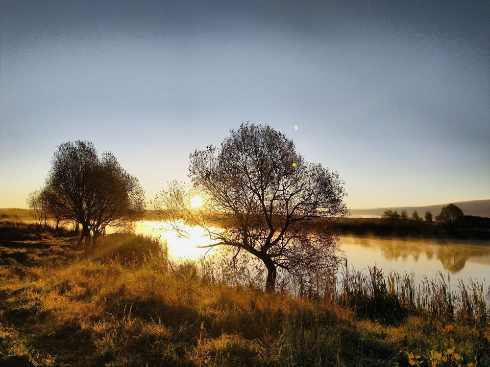 Photograph by Кира