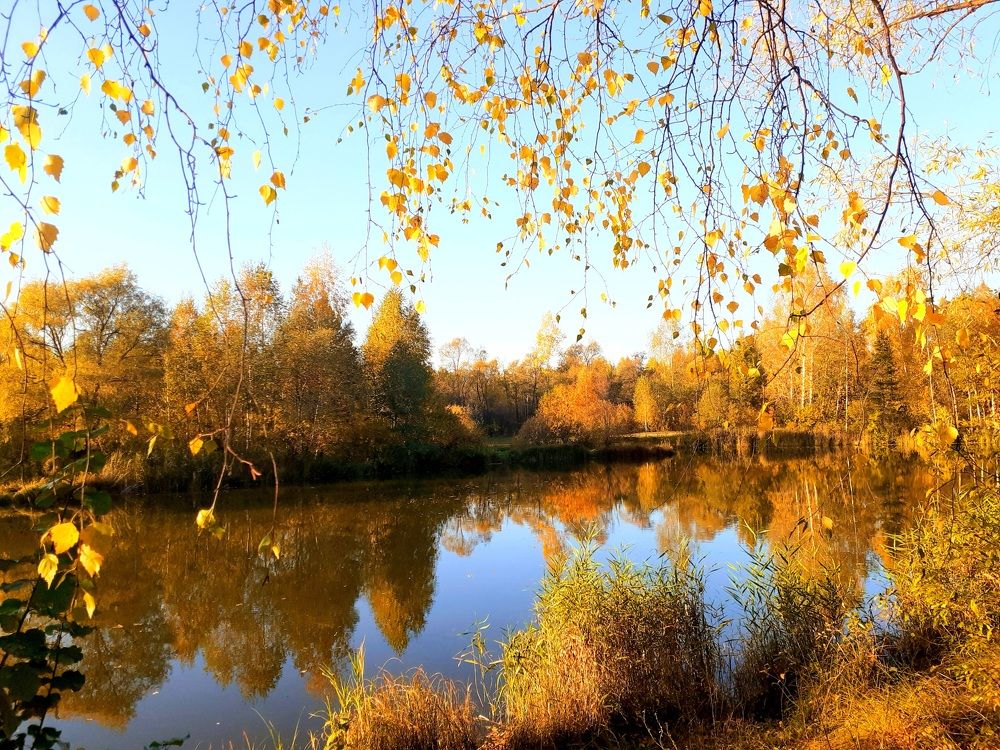 Photograph by Ирина Пичугина