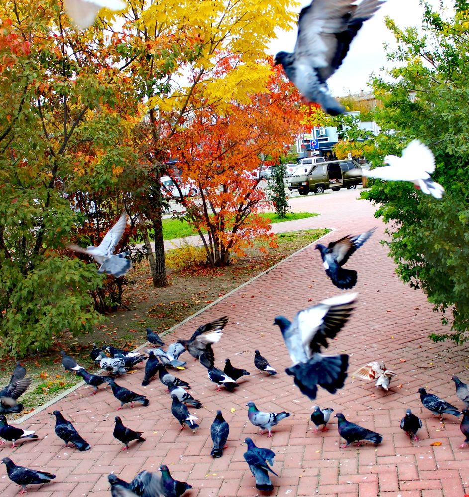 Photograph by Иван Крылов