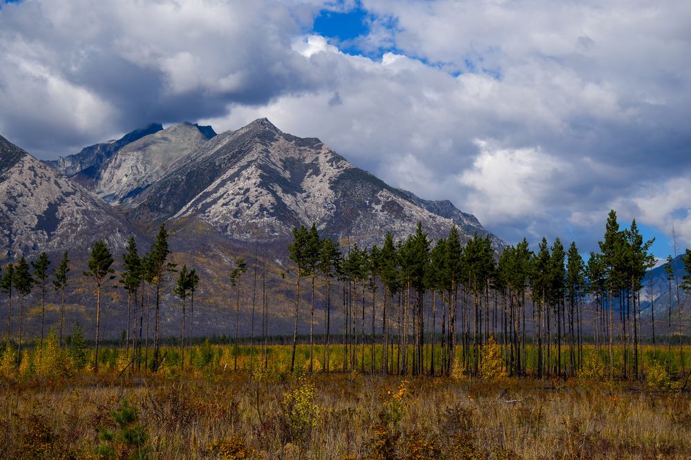Photograph by Марина Корреа Ластра