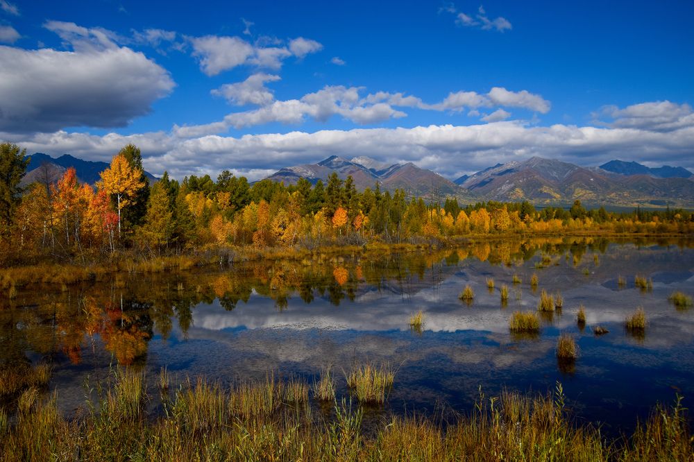 Photograph by Марина Корреа Ластра