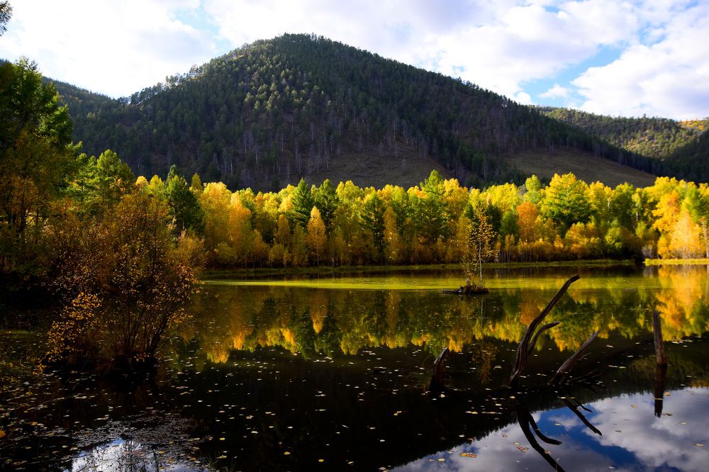 Photograph by Марина Корреа Ластра