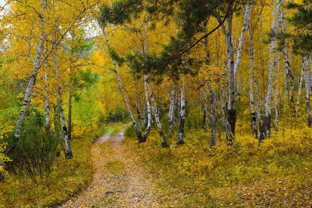 Photograph by Настюша