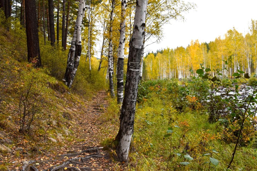 Photograph by Настюша