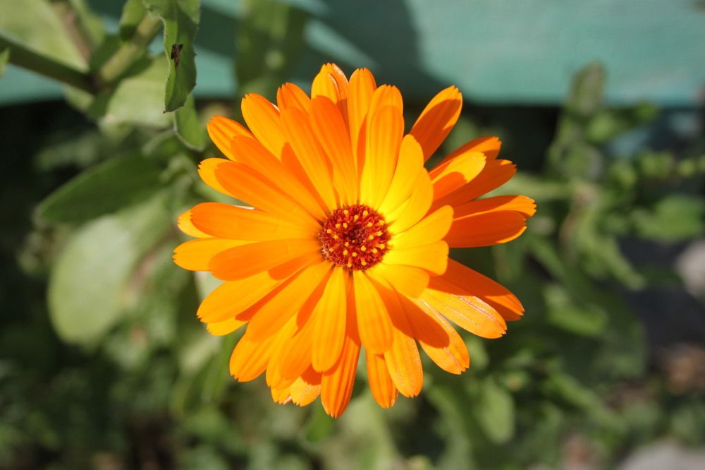 Photograph by Кристина Разаманова