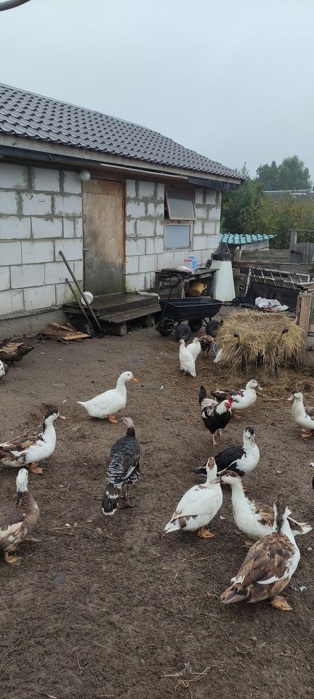 Фотография автора Васильева Ирина