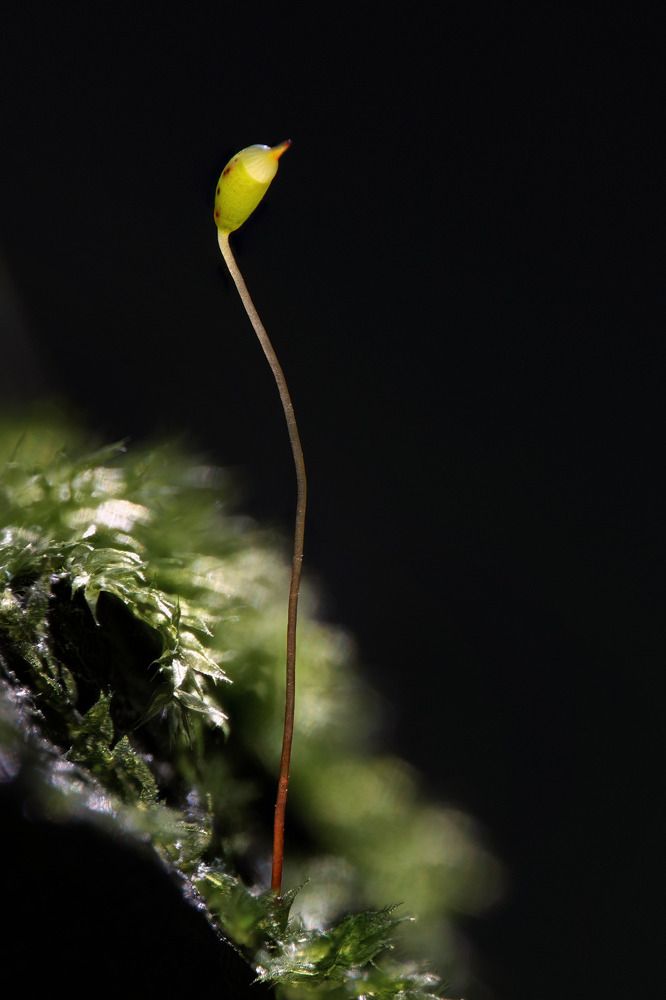 Фотография автора Tran Anh Tuan