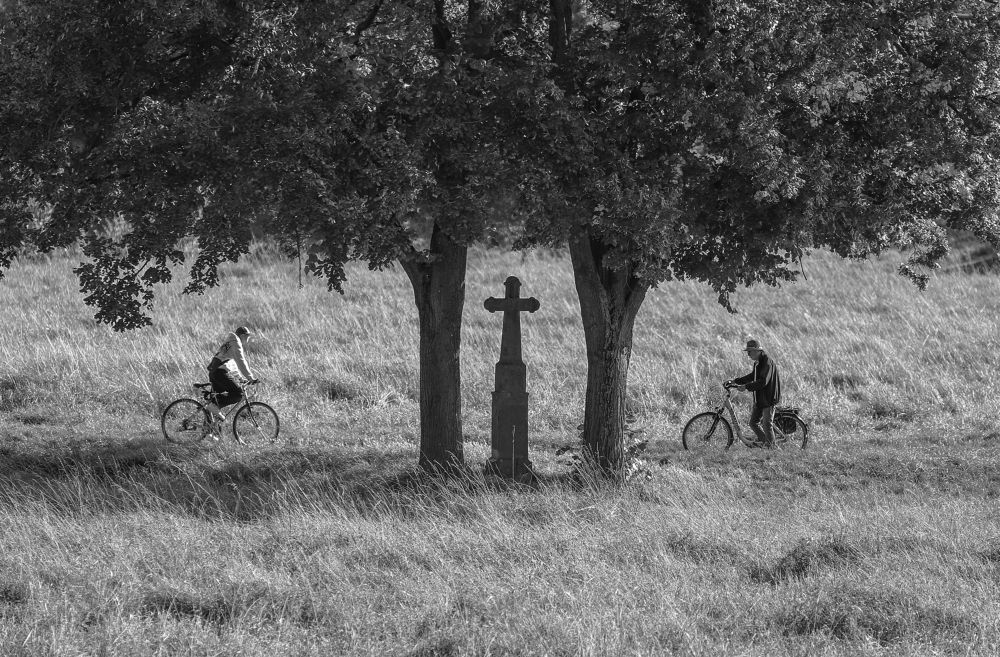 Фотография автора Mojtaba Chenari