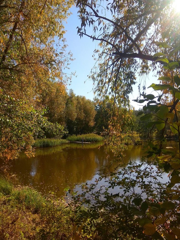 Photograph by Татьяна Кунц