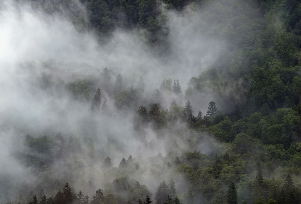Фотография автора Mojtaba Chenari