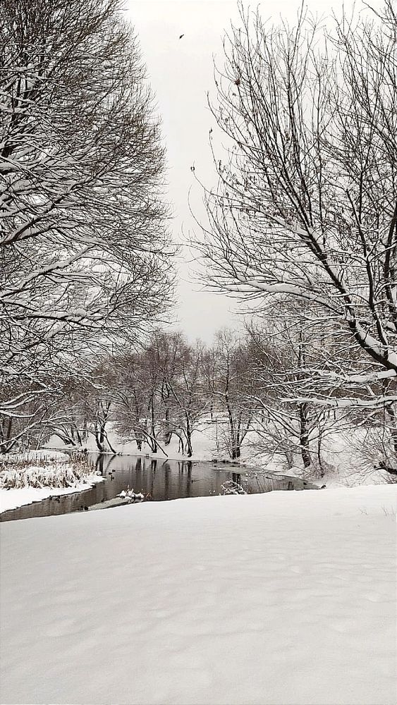 Фотография автора Васильева Ирина