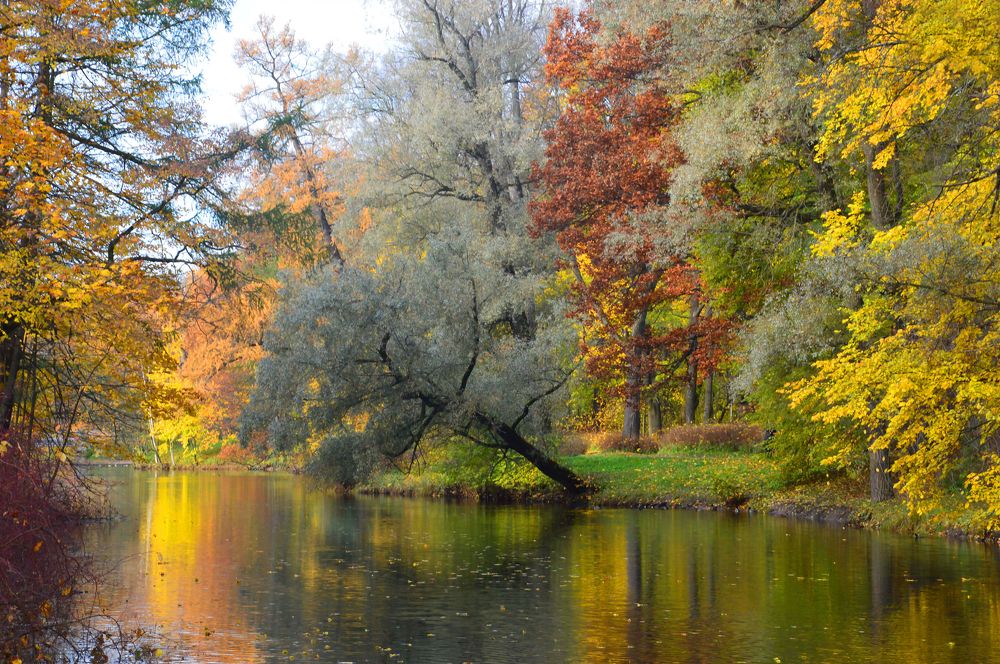 Photograph by Светлана Муравьева