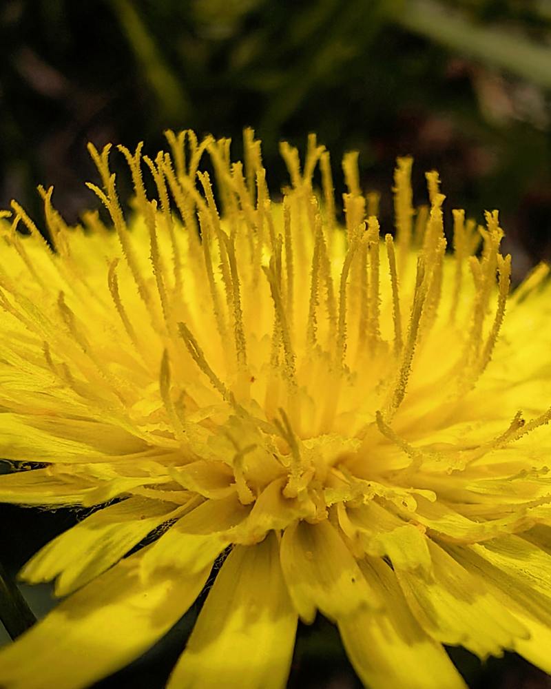 Photograph by Наталья