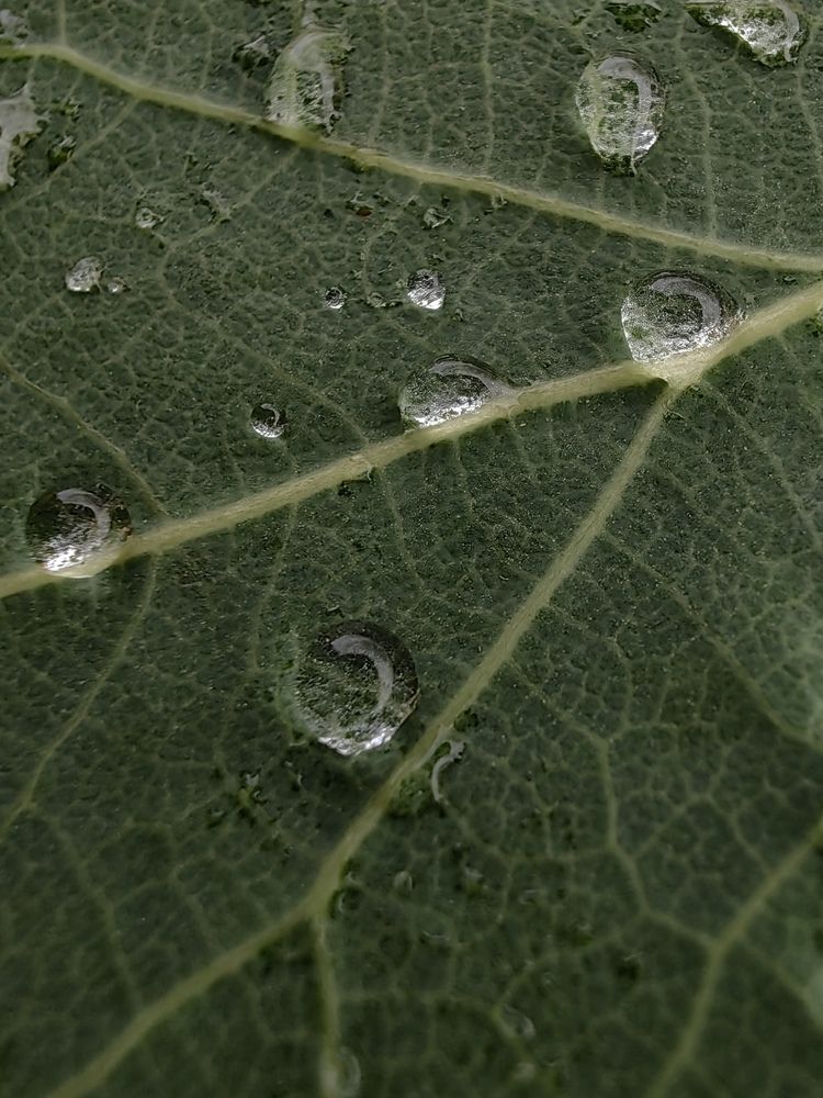 Photograph by Наталья