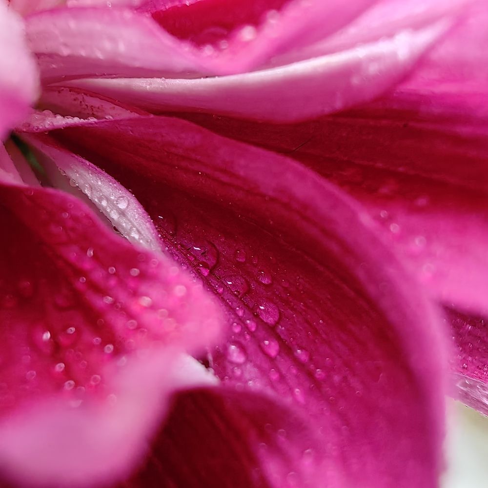 Photograph by Наталья