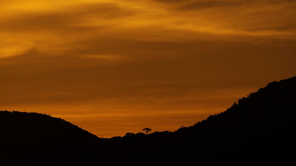 Photograph by wewegama pushpitha