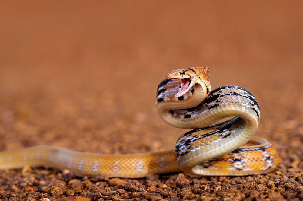 Фотография автора Tran Anh Tuan