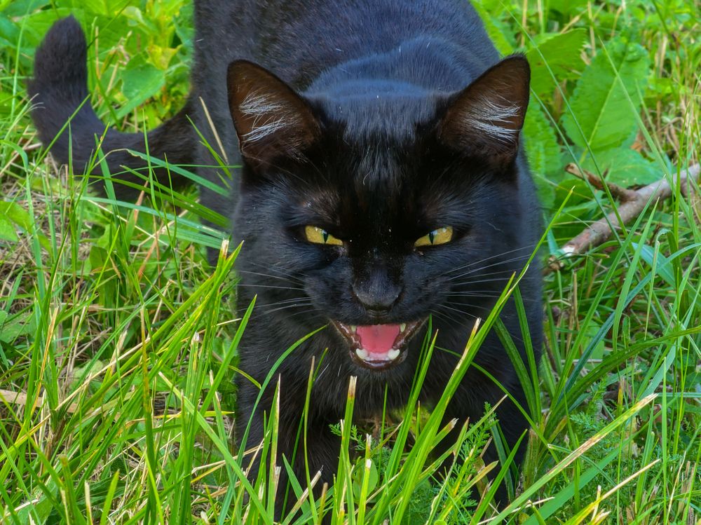 Photograph by Евгений Порсов