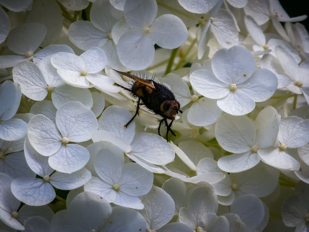 Photograph by Евгений Порсов