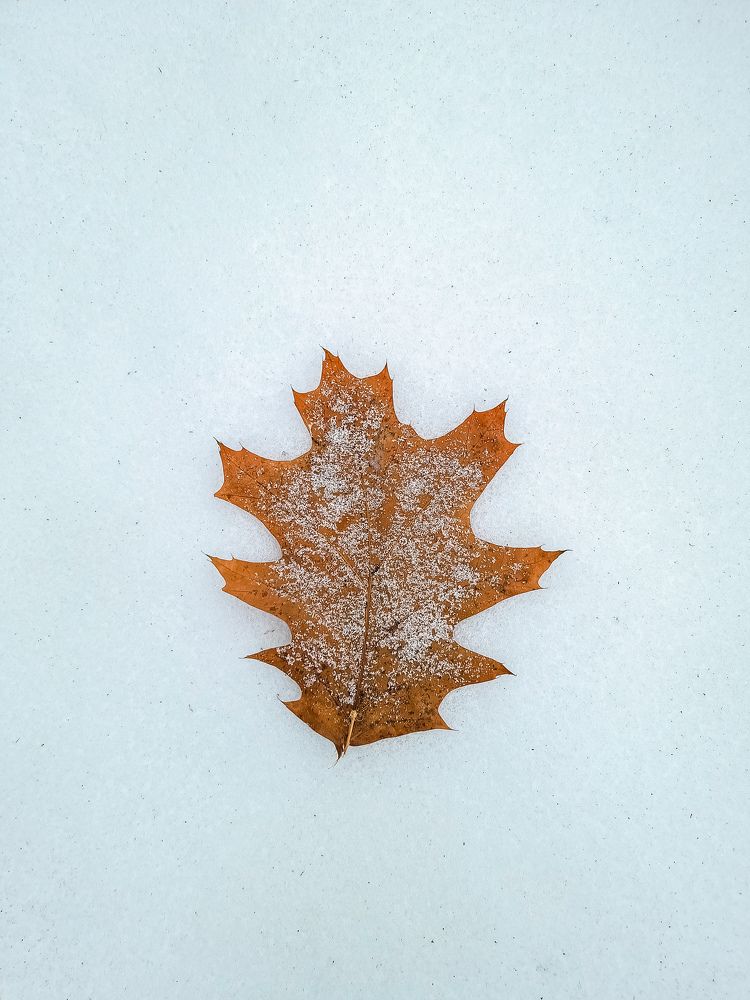 Photograph by Евгений Порсов