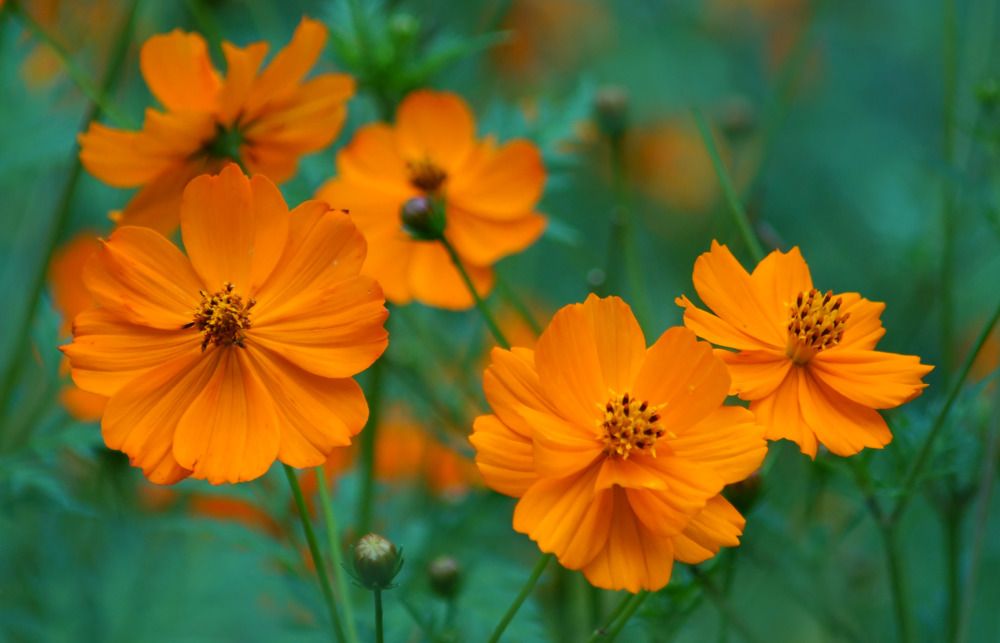 Photograph by Danyliuk Ruslan