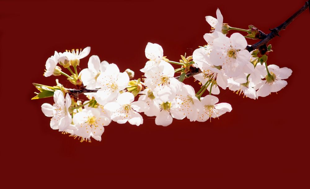 Photograph by Danyliuk Ruslan