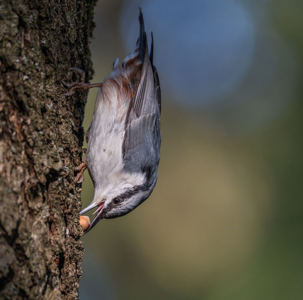 Photograph by Курлянцев Алексей