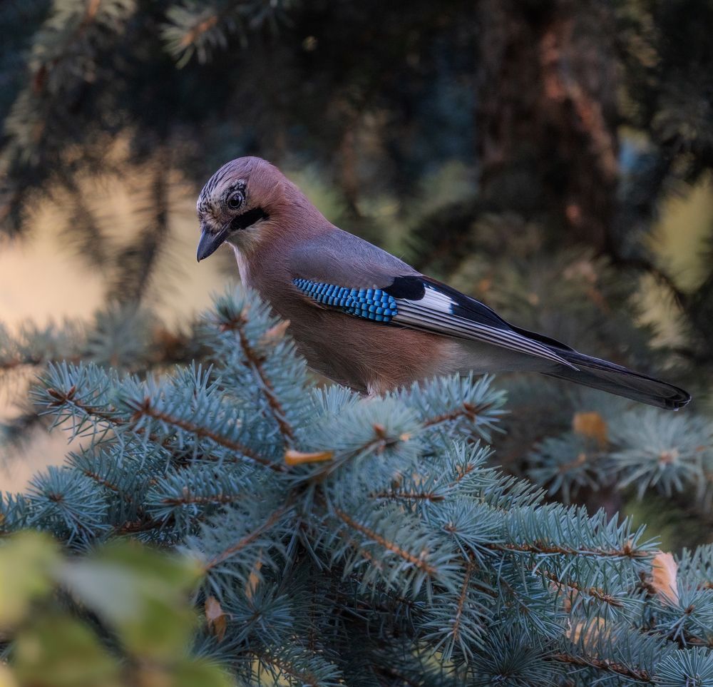 Photograph by Курлянцев Алексей