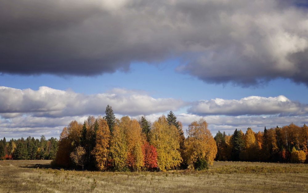 Фотография автора Павел Мартюшев