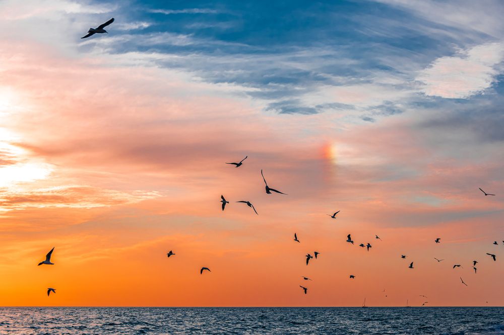 Photograph by Роман Ливенсон