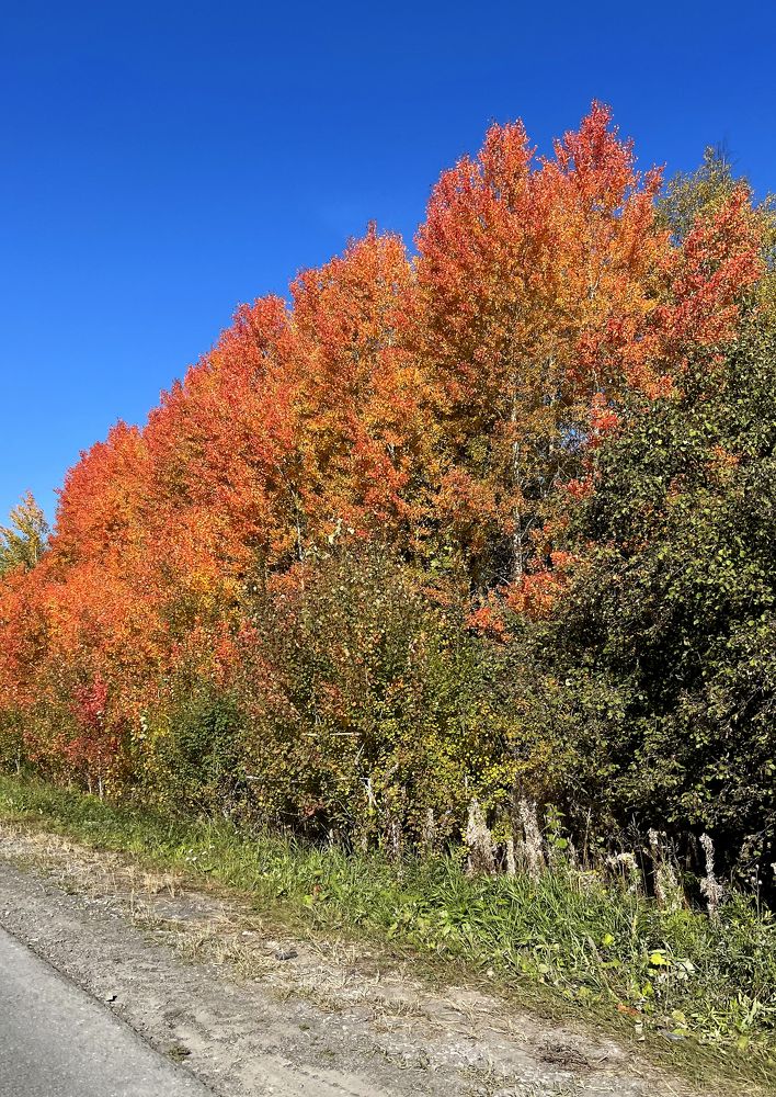 Photograph by Светлана Крупина