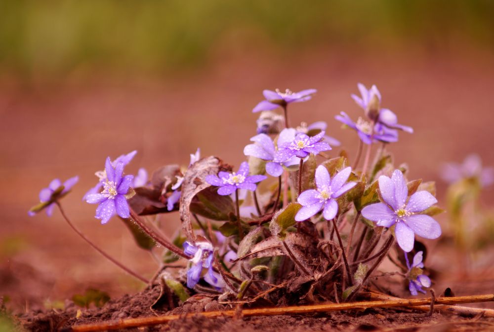 Photograph by Danyliuk Ruslan