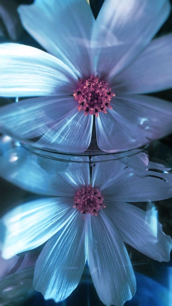 Photograph by Ольга Рыкова