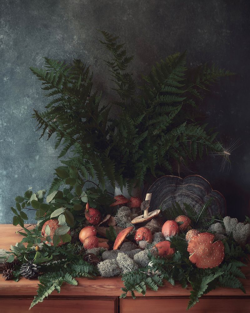 Фотография автора Виктория Шаманова