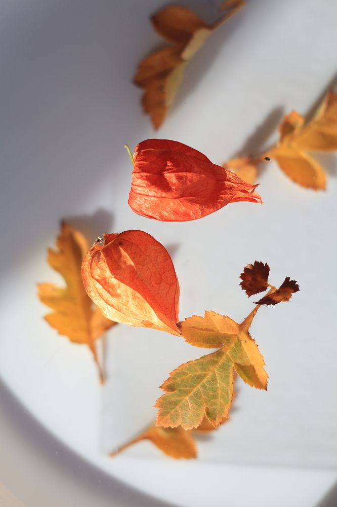 Photograph by Елена Змейкова