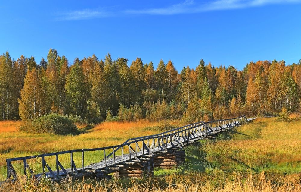 Фотография автора Юрий Кетель