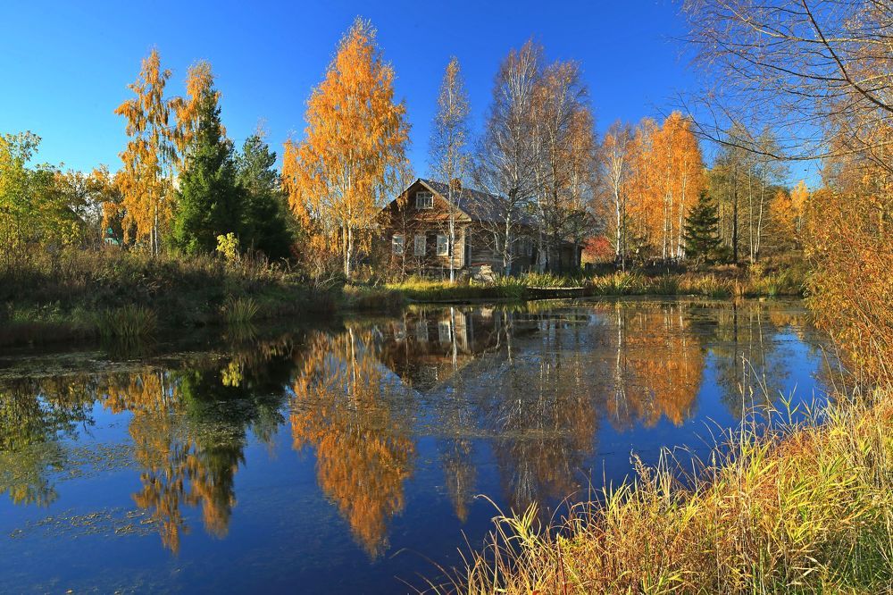 Фотография автора Юрий Кетель