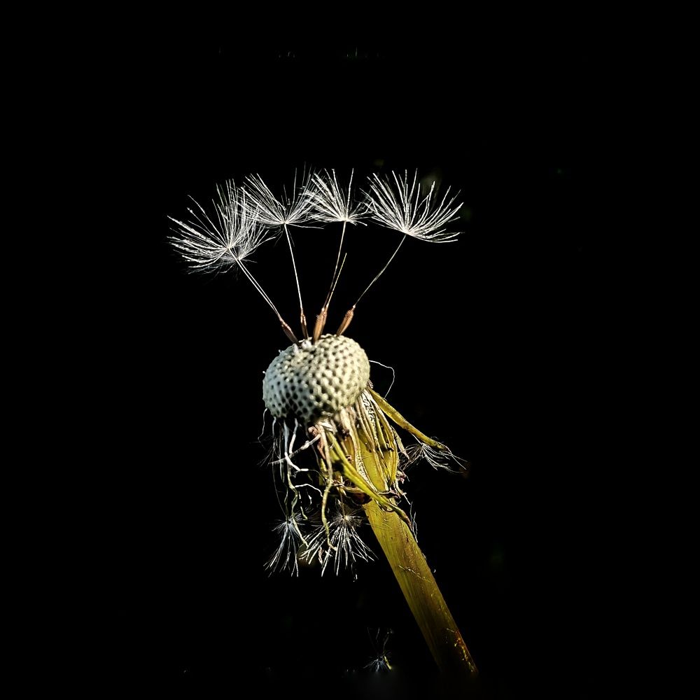 Photograph by 