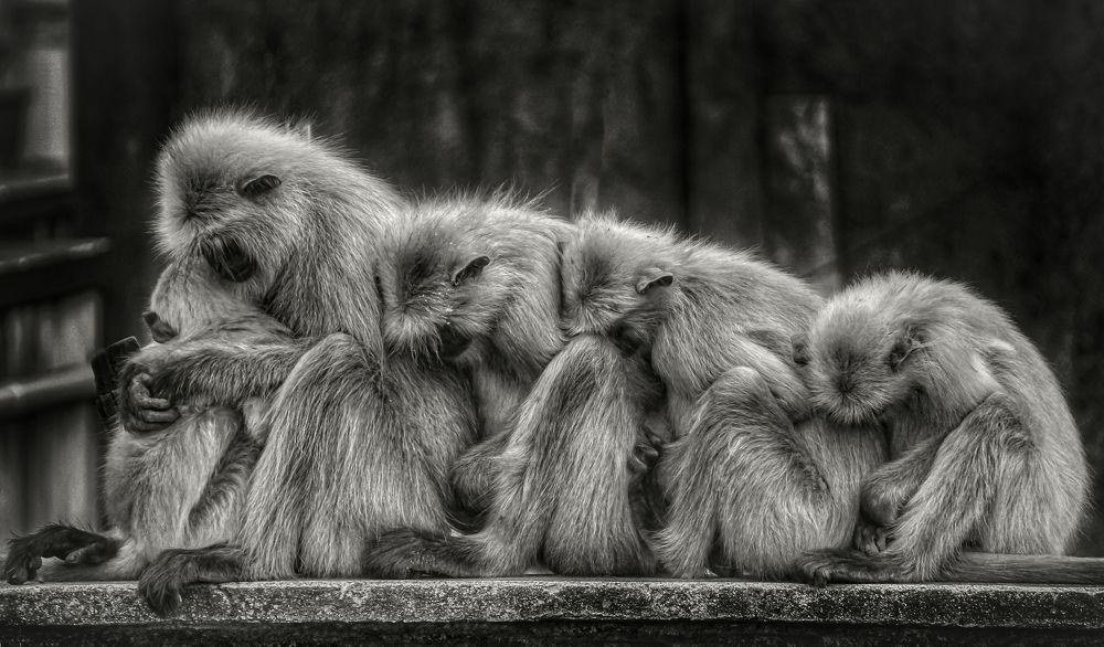 Photograph by Kaustav Ghosh