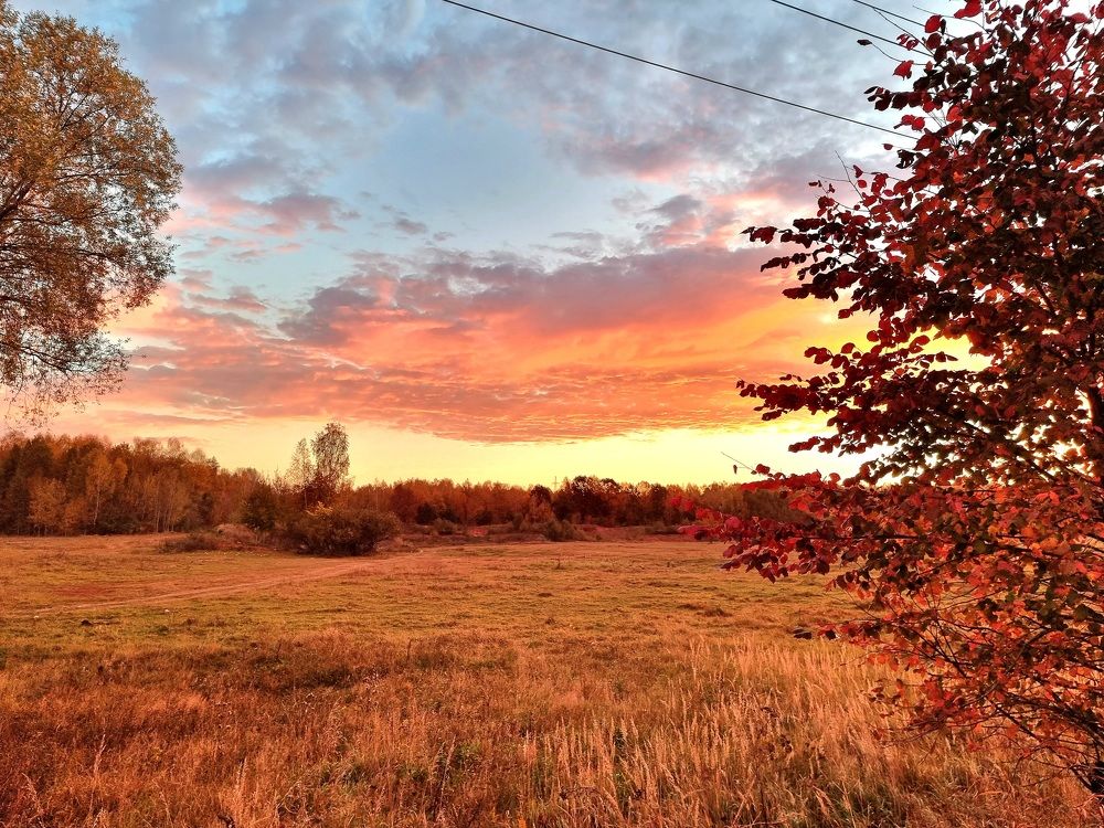 Photograph by Elena Lukashina