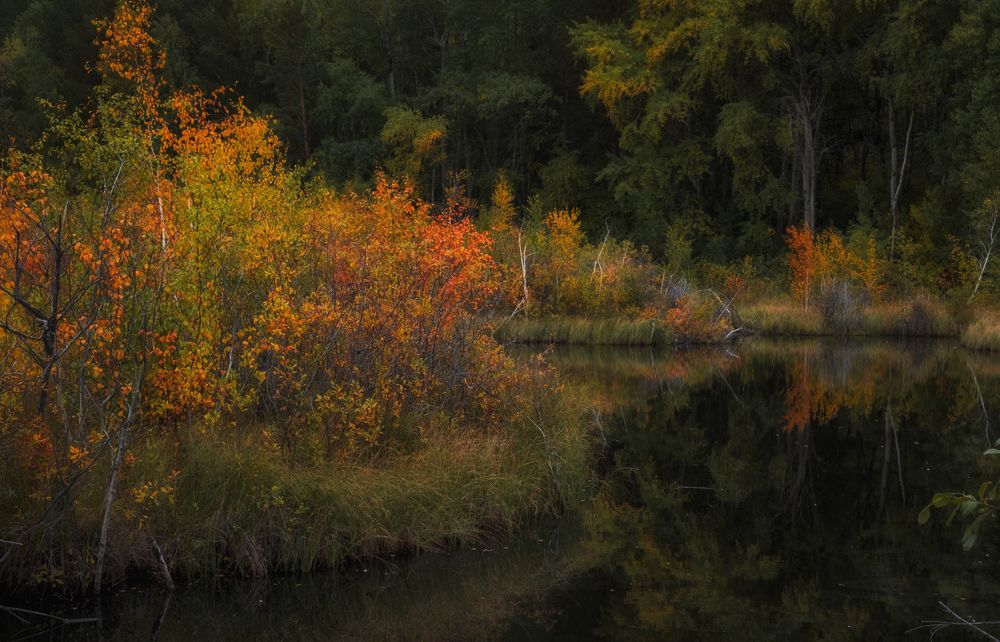 Photograph by Светлана Краюшкина