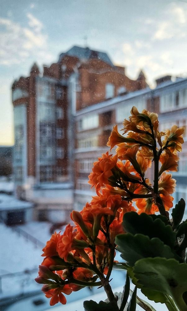 Photograph by Oksana