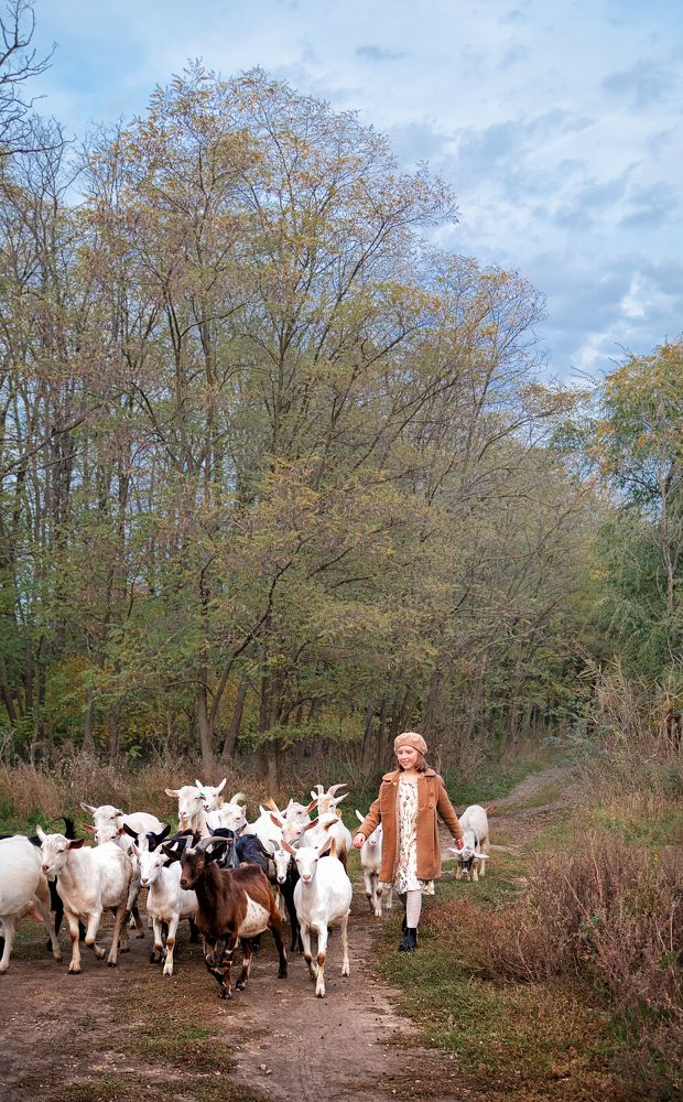 Photograph by Светлана Чужданова