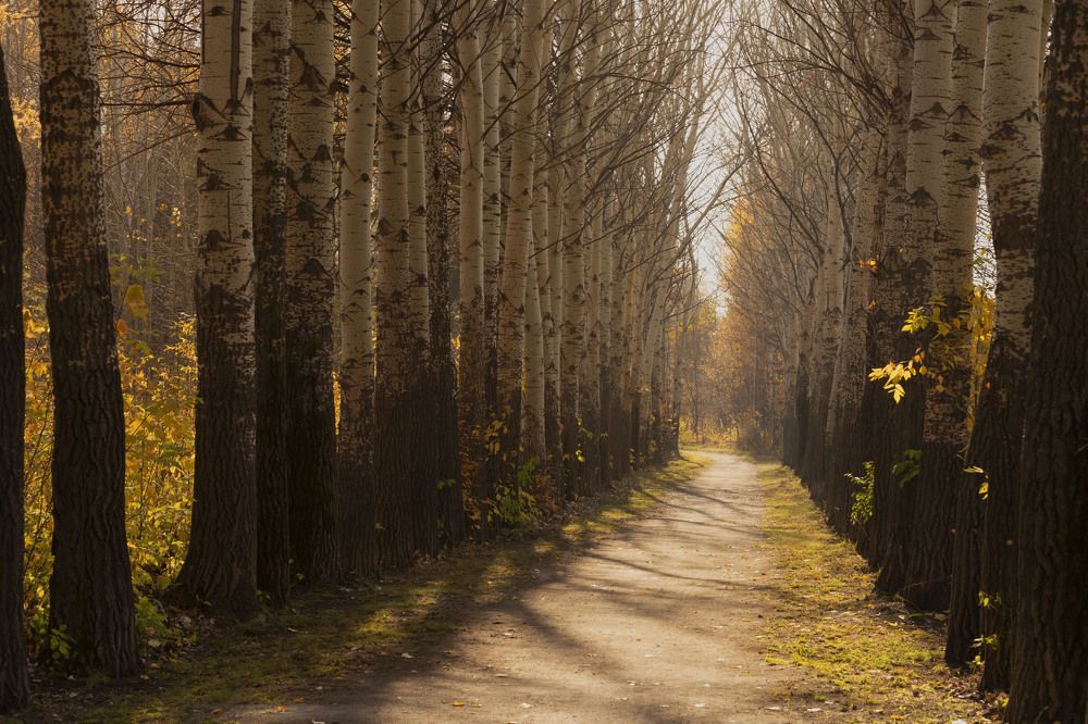 Photograph by ИРЕНА Цурпал